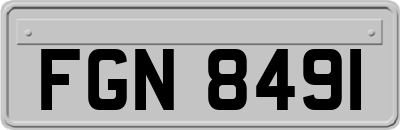 FGN8491