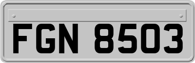 FGN8503