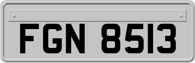 FGN8513
