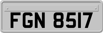 FGN8517