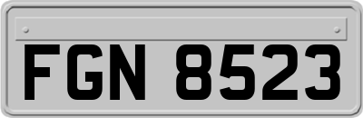 FGN8523