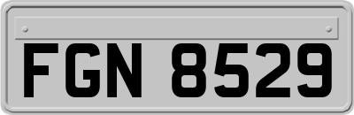 FGN8529