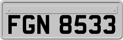 FGN8533