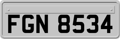 FGN8534