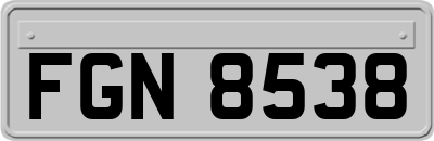 FGN8538
