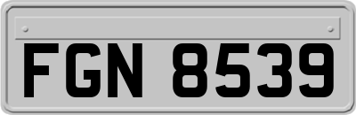 FGN8539