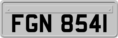 FGN8541
