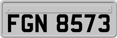 FGN8573