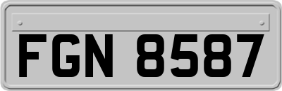 FGN8587