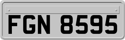 FGN8595