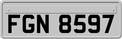 FGN8597