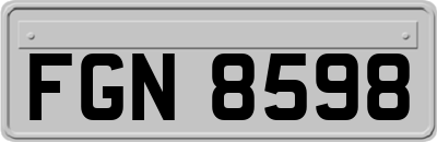 FGN8598