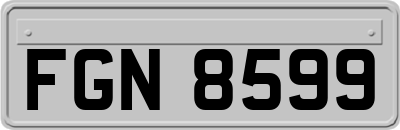 FGN8599