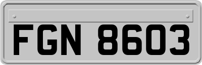 FGN8603