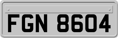 FGN8604