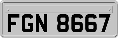 FGN8667