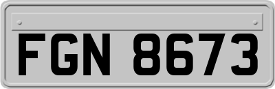 FGN8673