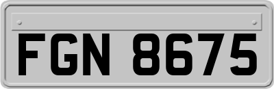 FGN8675