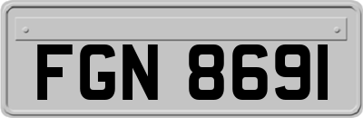 FGN8691