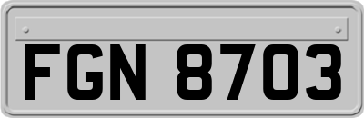 FGN8703