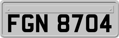 FGN8704
