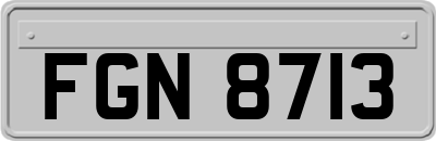 FGN8713