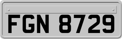 FGN8729