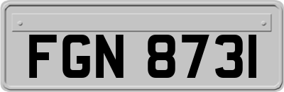 FGN8731