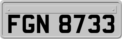 FGN8733