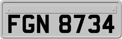 FGN8734