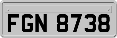 FGN8738