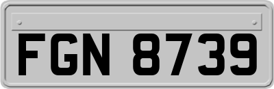 FGN8739
