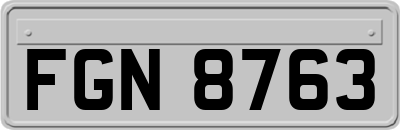 FGN8763