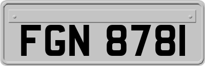 FGN8781