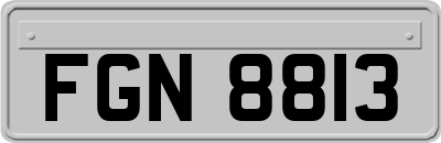 FGN8813
