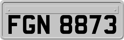 FGN8873
