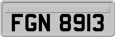 FGN8913