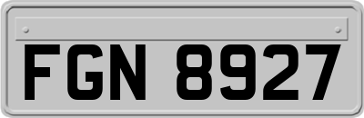 FGN8927