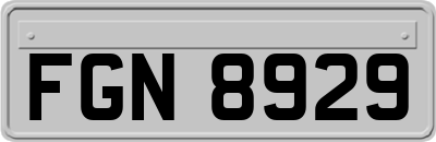 FGN8929
