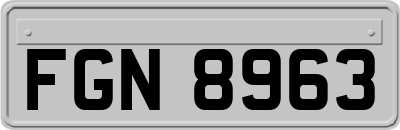 FGN8963