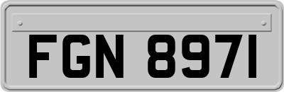 FGN8971