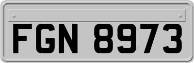 FGN8973