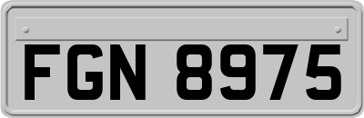 FGN8975