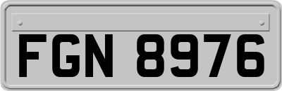FGN8976