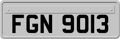 FGN9013