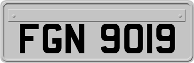 FGN9019