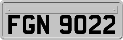 FGN9022