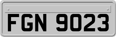 FGN9023