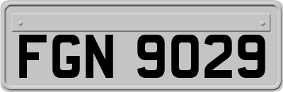 FGN9029