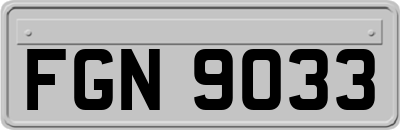 FGN9033